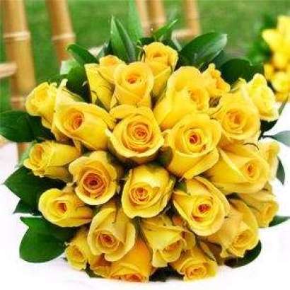 25 szál rövid sárga rózsa