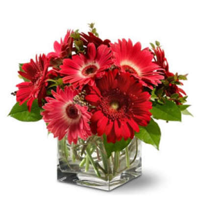 Szálas virágok: piros gerbera