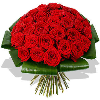 50 stems red roses